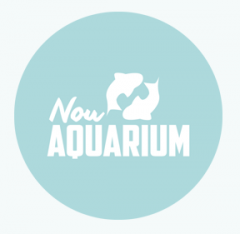  Nou Aquarium